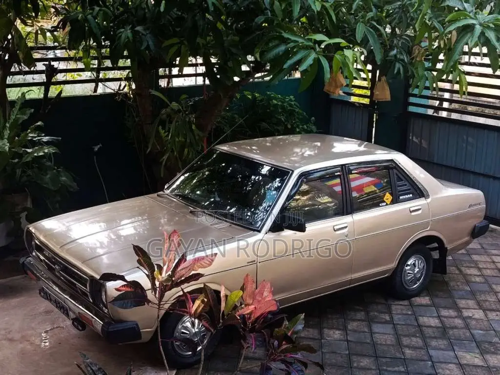 Nissan Sunny 1979 Car (Used)