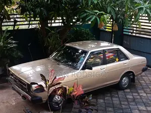 Nissan Sunny 1979 Car (Used)