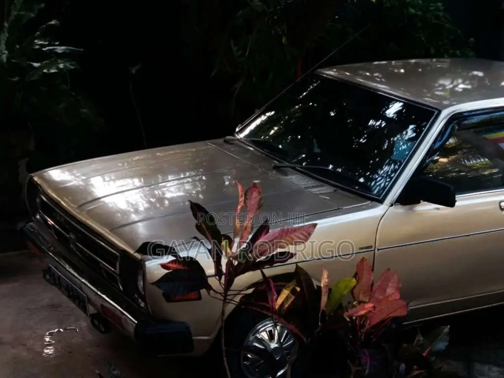 Nissan Sunny 1979 Car (Used)