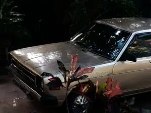 Nissan Sunny 1979 Car (Used)