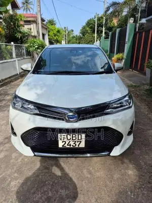 Toyota Axio WXB 2018 Car (Used)