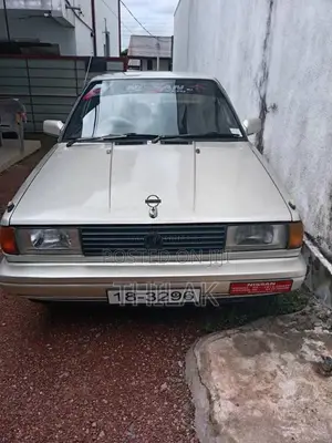 Nissan Trad Sunny 1989 Car (Used)
