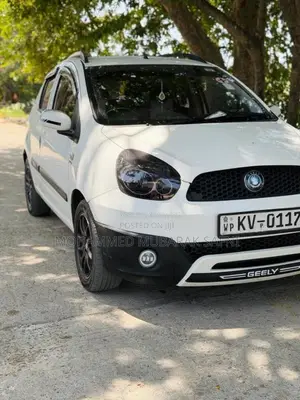 Micro Panda Cross 2013 Car (Used)