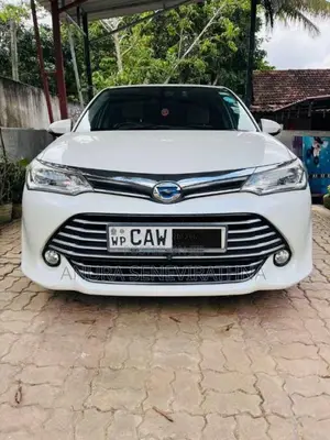 Toyota Axio G Grade 2016 Car (Used)