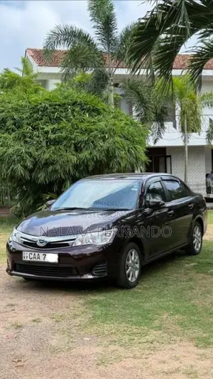 Toyota Axio G Grade 2014 Car (Used)