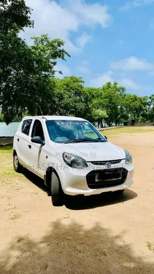 Suzuki Alto 2015 Car (Used)