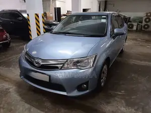 Toyota Axio 2014 Car (Used)