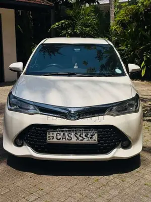 Toyota Axio 2016 Car (Used)