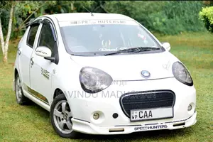 Micro Panda 2014 Car (Used)