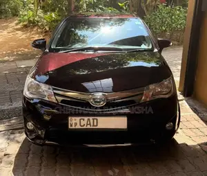 Toyota Axio 2014 Car (Used)