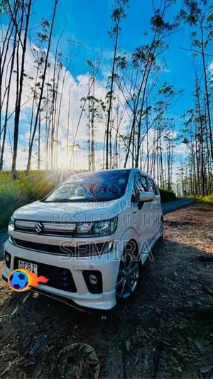 Suzuki Wagon R 2019 Car (Used)