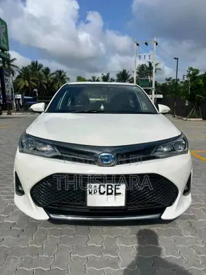 Toyota AXIO 2018 Car (Used)