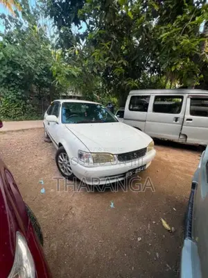 Toyota Corolla 1996 Car (Used)