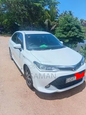 Toyota Axio Wxb 2016 Car (Used)