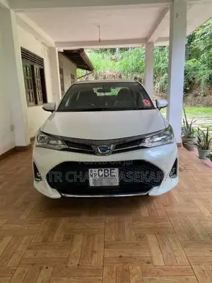 Toyota Axio 2018 Car (Used)