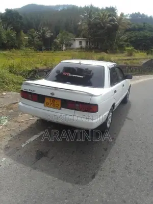 Nissan Sunny 1991 Car (Used)