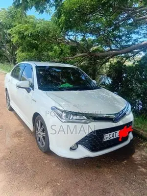 Toyota Axio Wxb 2016 Car (Used)