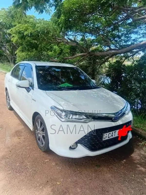 Toyota Axio Wxb 2016 Car (Used)