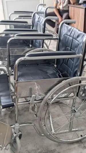 Basic Wheelchair / Wheel Chair රෝද පුටුව