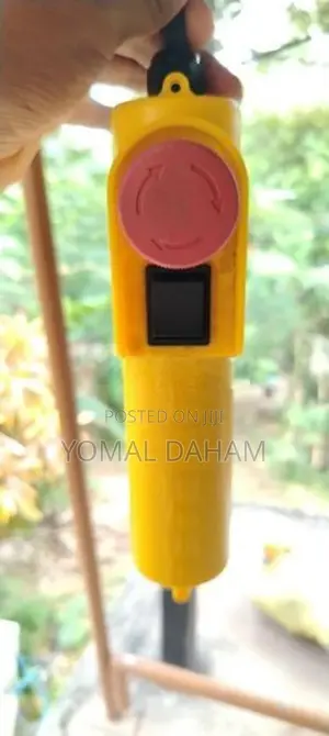 Electronic Rope Hoist