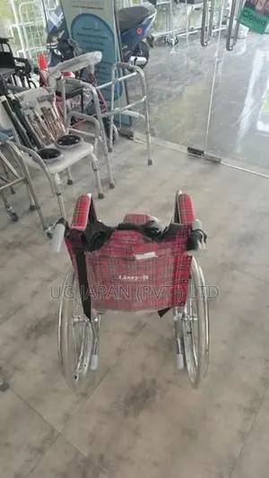 Pediatric Wheelchair / Kida Wheel Chair With Safety Belt