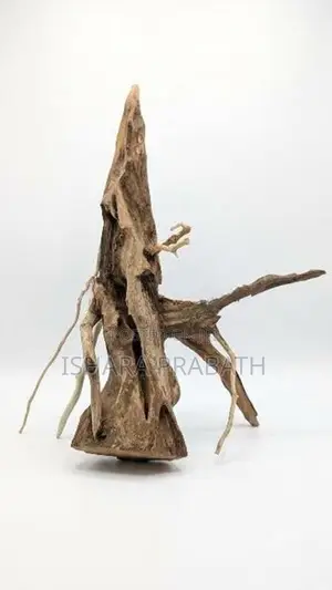 Bonsai Driftwoods