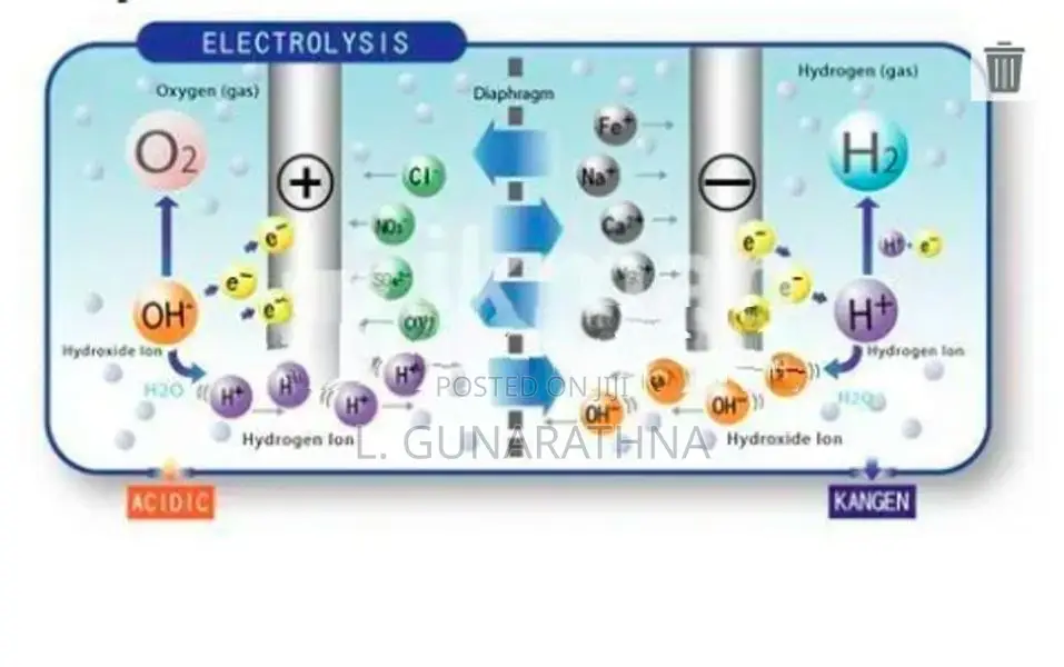 Leveluk K8 - Kangen Water Machine