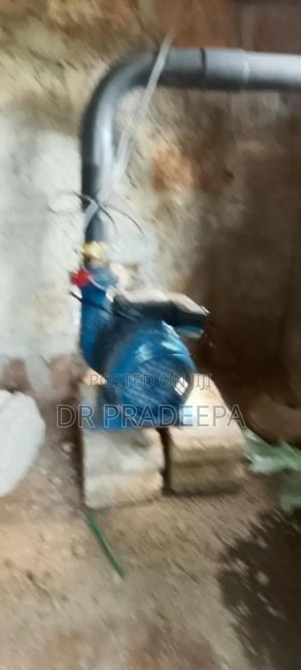 சிங்கர் நீர் மோட்டர் 2*2Hp