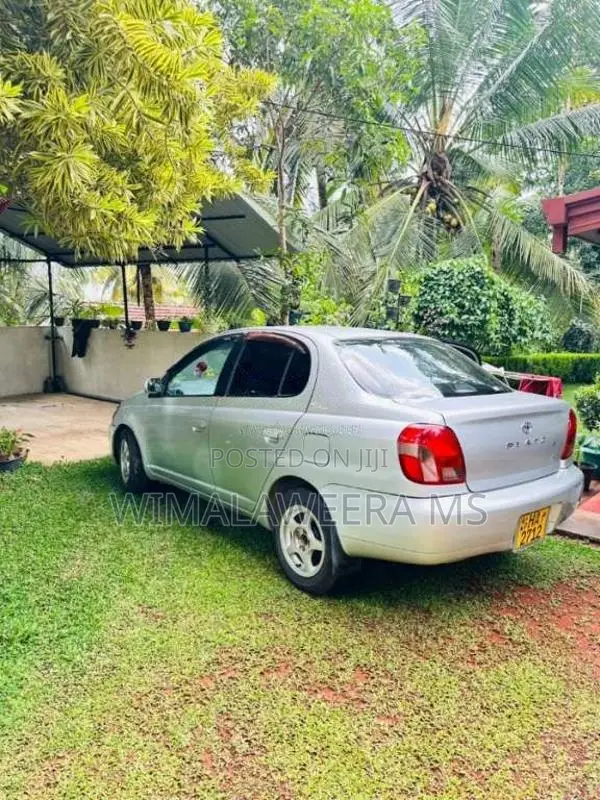 Toyota Platz 2001 Car (Used)