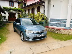 Toyota Axio 2014 Car (Used)