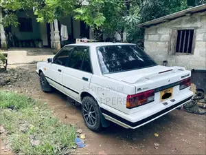Nissan Trad Sunny 1986 Car (Used)