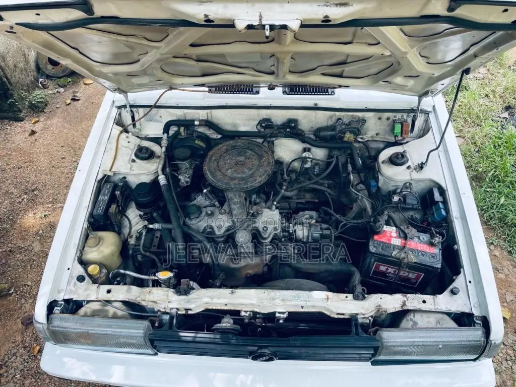Nissan Trad Sunny 1986 Car (Used)