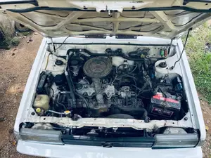 Nissan Trad Sunny 1986 Car (Used)