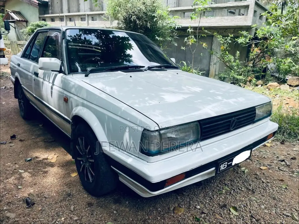 Nissan Trad Sunny 1986 Car (Used)