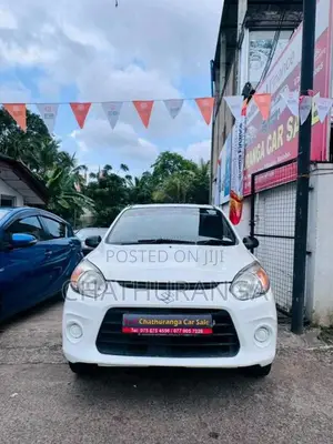 Suzuki Alto 2016 Car (Used)