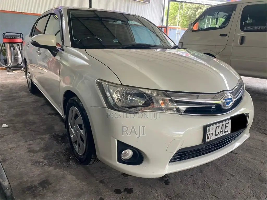 Toyota Axio 2014 Car (Used)