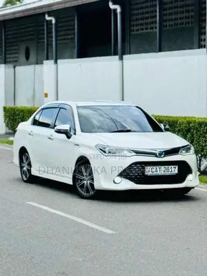 Toyota Axio 2016 Car (Used)