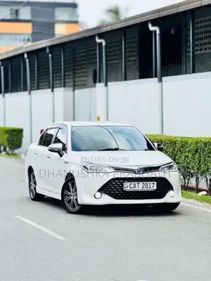 Toyota Axio 2016 Car (Used)