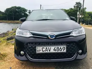 Toyota Axio Wxb 2017 Car (Used)
