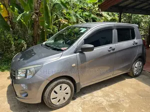 Suzuki Celerio 2015 Car (Used)