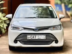 Toyota Axio 2016 Car (Used)