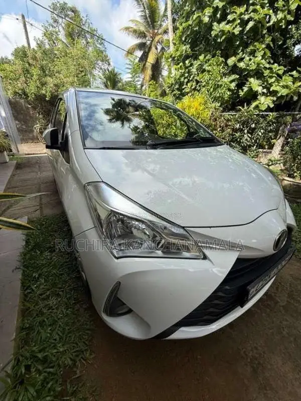 Toyota Vitz 2019 Car (Used)