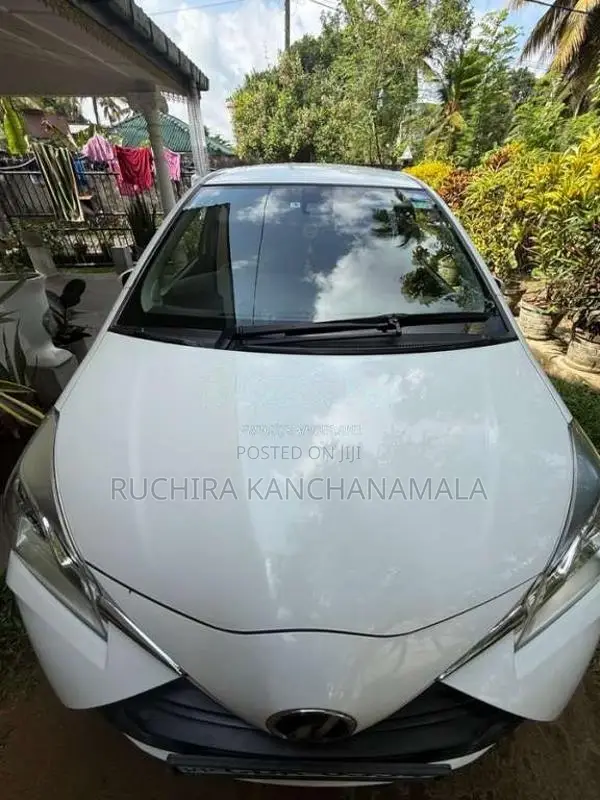 Toyota Vitz 2019 Car (Used)
