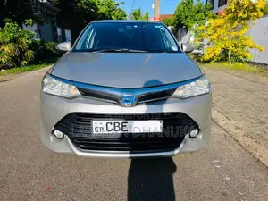 Toyota Axio 2017 Car (Used)