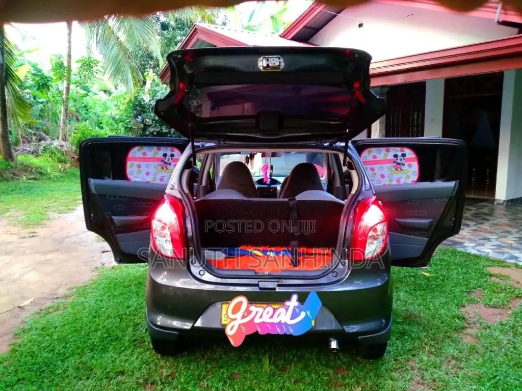 Suzuki Alto 2015 Car (Used)