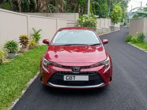 Toyota Corolla Luxury 2023 Car (Used)