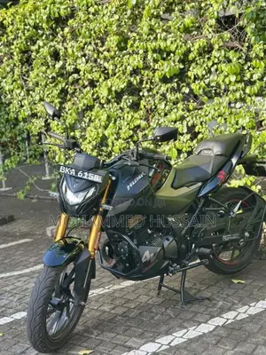 Hero HUNK 160 2025 Motorbike Unregistered (Recondition)