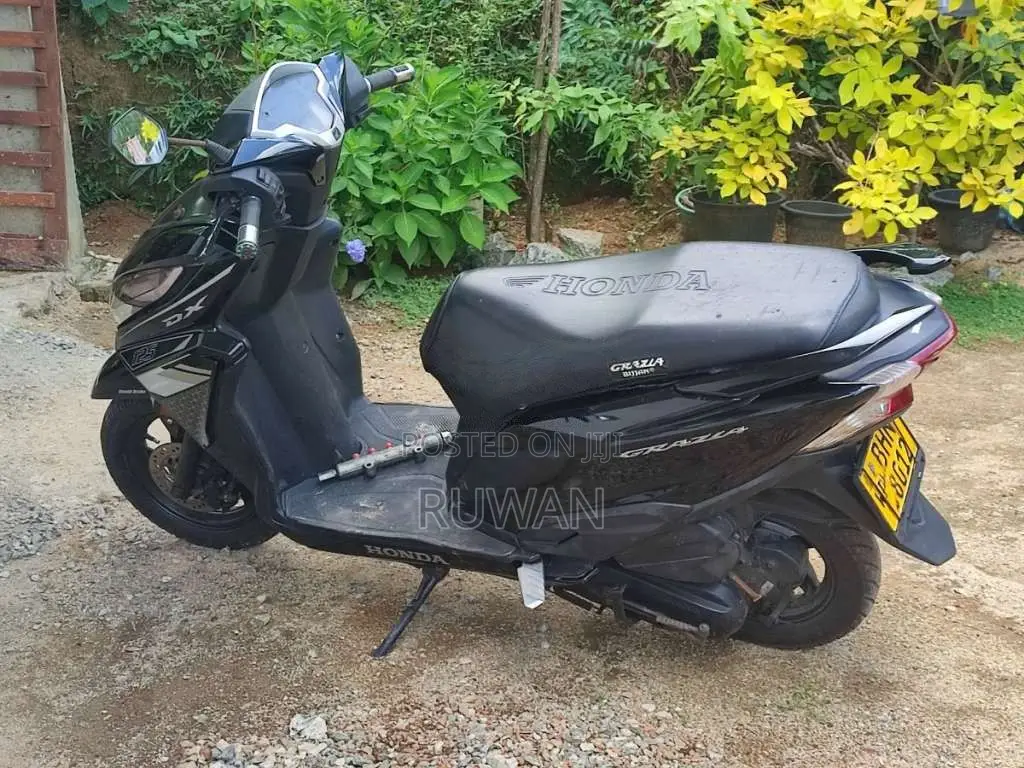 Honda Grazia 2019 Motorbike (Used)