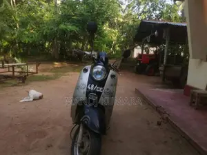 Minnelli Minnelli 2000 Motorbike (Used)