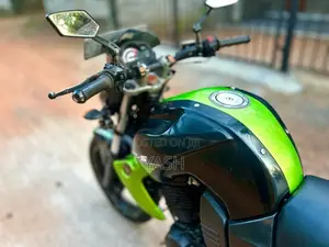 Yamaha FZ-S 2010 Motorbike Brand New